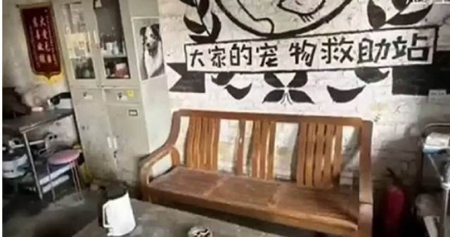 社會新聞